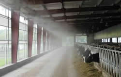 humidification for cattle farm