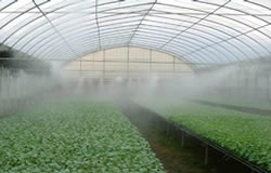 Humidification for greenhouse planting